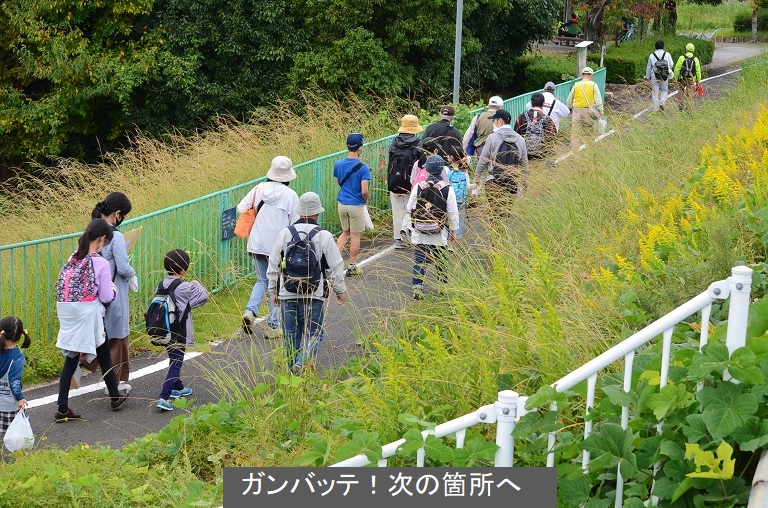 [altテキスト]