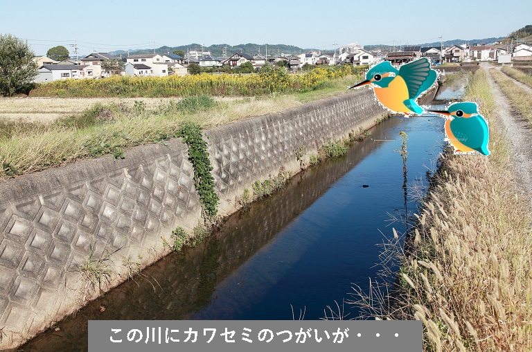 [altテキスト]